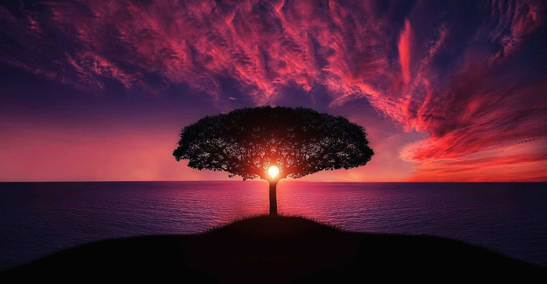 Lorem ipsum dolor sit amet #1